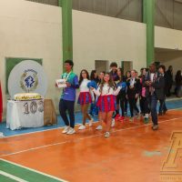IMG_7971