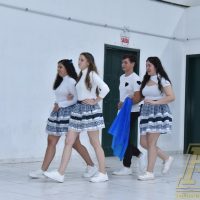 ZAP_0848
