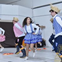 ZAP_0908
