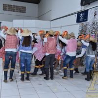 ZAP_0937