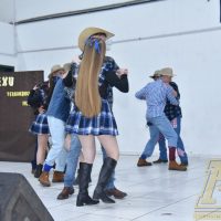 ZAP_1169