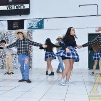 ZAP_1182