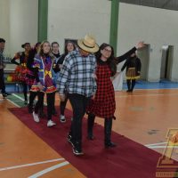 ZAP_2536