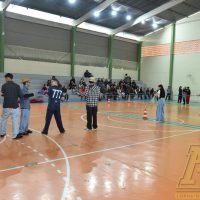 ZAP_2657