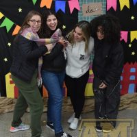 ZAP_3395
