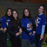 ZAP_3730