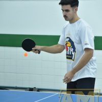 ZAP_3952