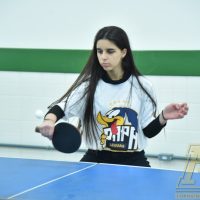 ZAP_3979