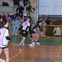 ZAP_5201