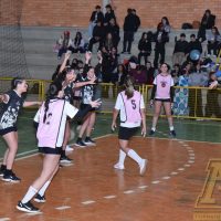 ZAP_5206