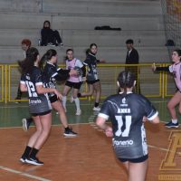 ZAP_5217