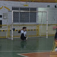 ZAP_5418