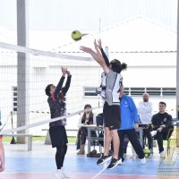 ZAP_5479