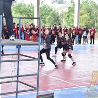 ZAP_5536