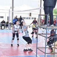 ZAP_5539