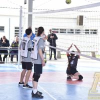 ZAP_5552