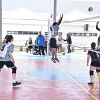 ZAP_5560