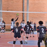 ZAP_5585