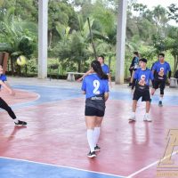 ZAP_5617