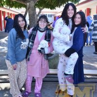 ZAP_6277