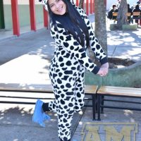 ZAP_6344