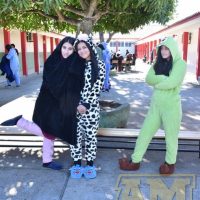 ZAP_6364