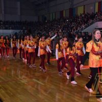ZAP_6553