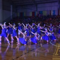 ZAP_6771