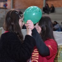 ZAP_7257