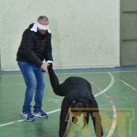 ZAP_0681