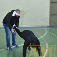 ZAP_0682