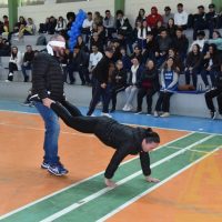 ZAP_0685
