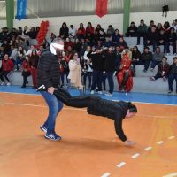 ZAP_0688