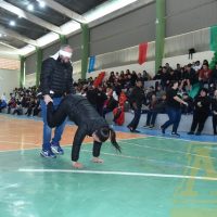 ZAP_0689