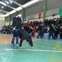 ZAP_0690