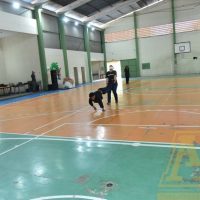 ZAP_0724
