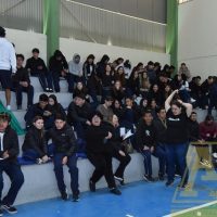 ZAP_0728
