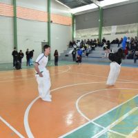 ZAP_0766