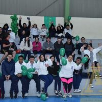 ZAP_0795