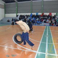 ZAP_0895