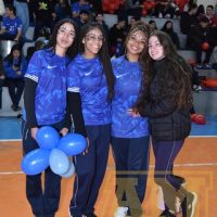 ZAP_0911