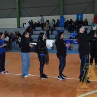 ZAP_0951