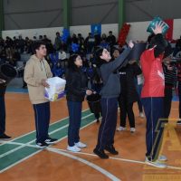 ZAP_0984