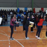 ZAP_0992