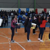 ZAP_0993