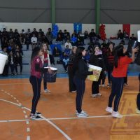 ZAP_0994