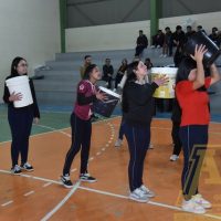 ZAP_0995