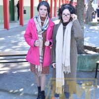 ZAP_1038