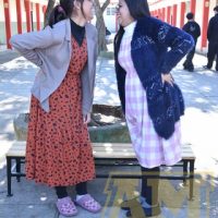 ZAP_1205