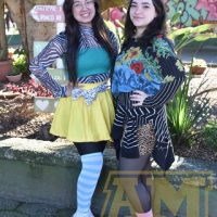 ZAP_1539
